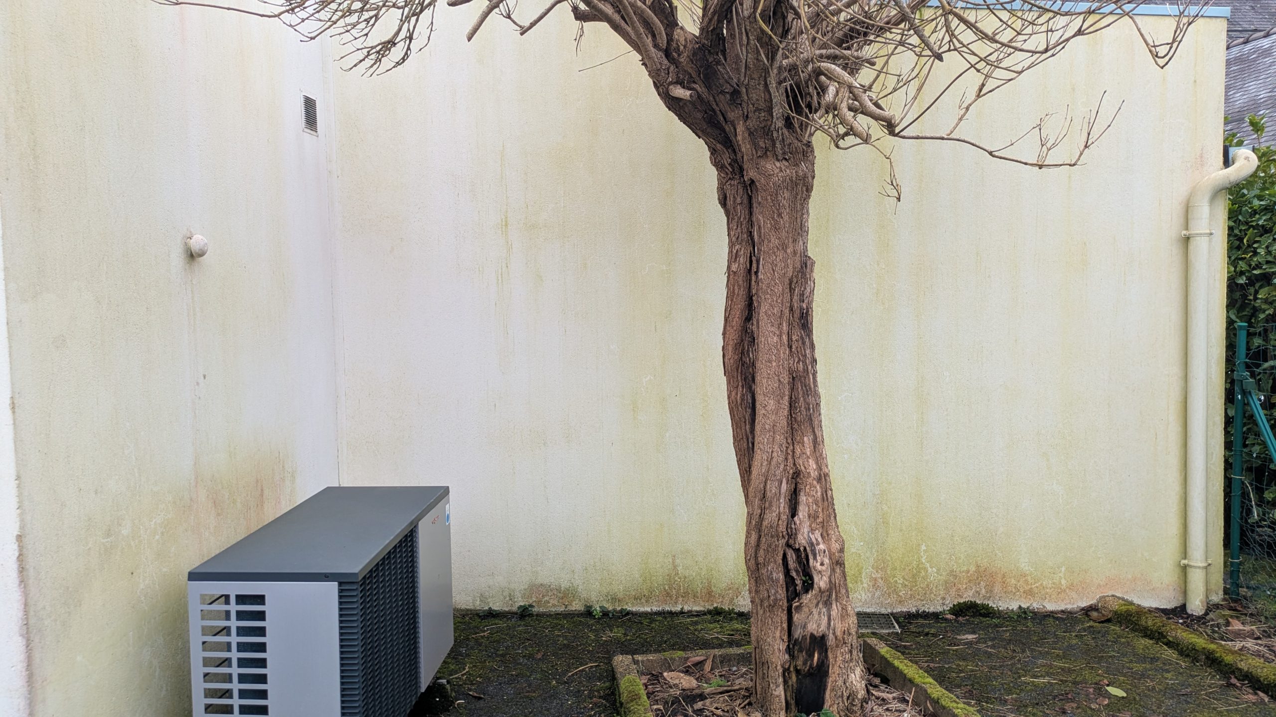 Traces vertes liées à l’humidité sur une façade